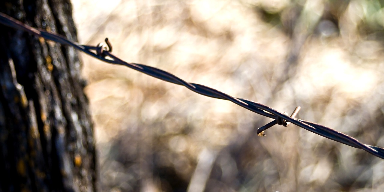 fence rustic barbed free photo