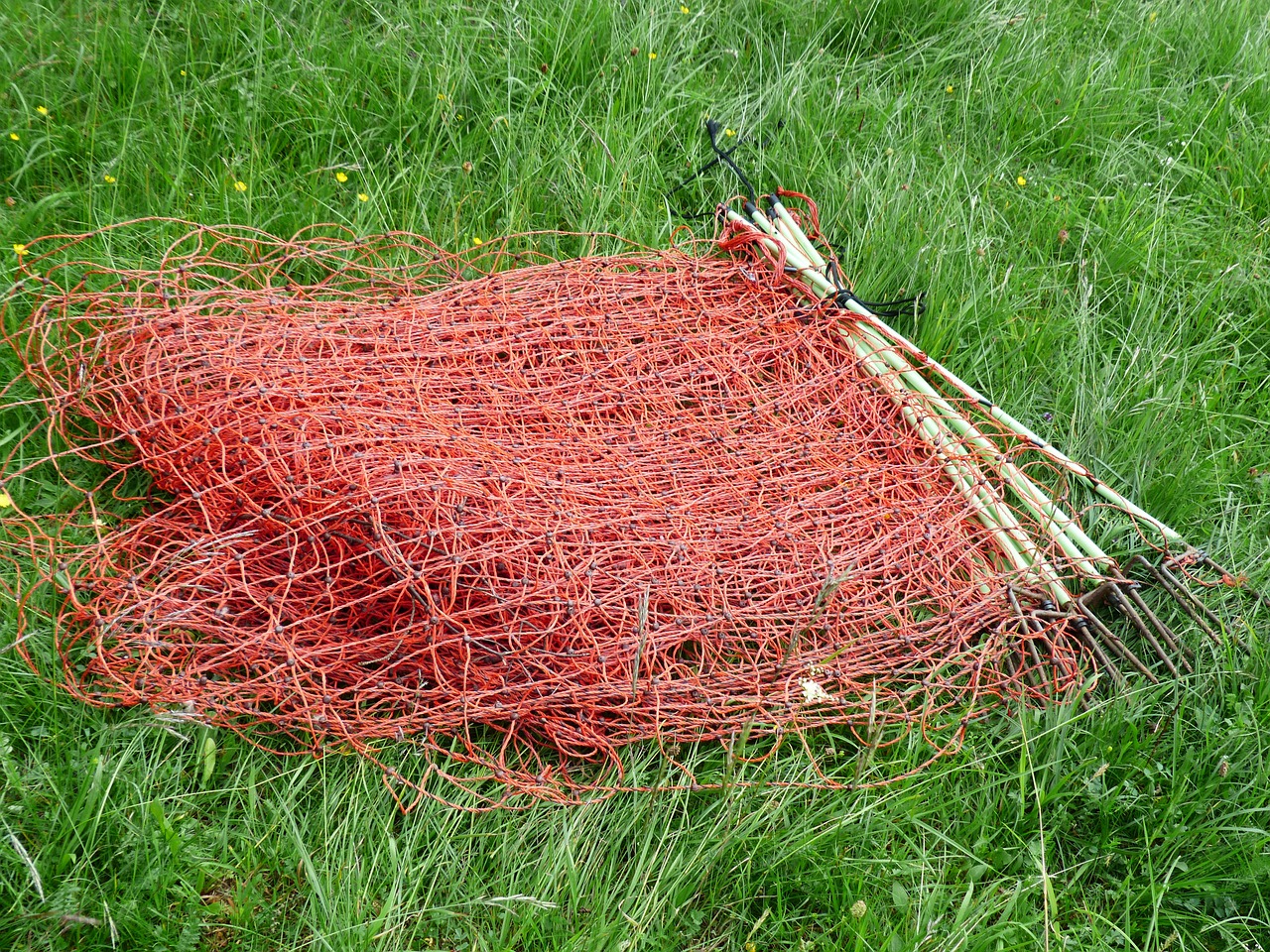 fence electric fence sheep fence free photo