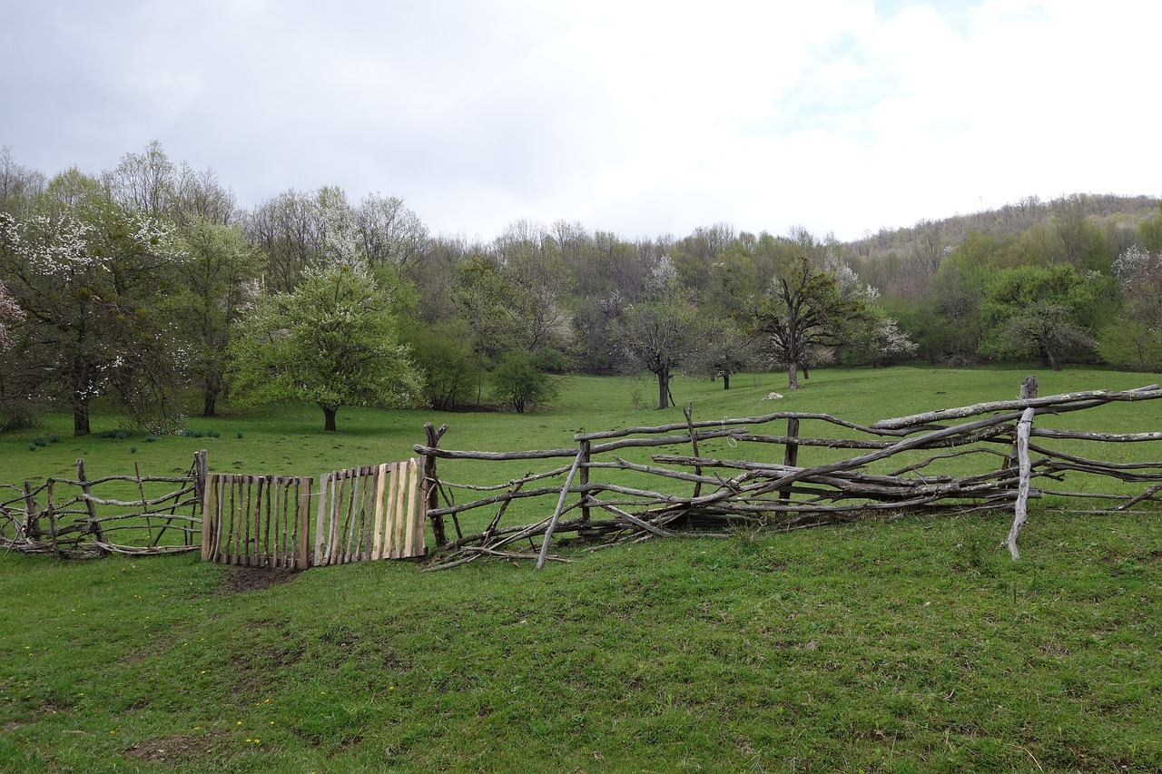 fence village russia free photo