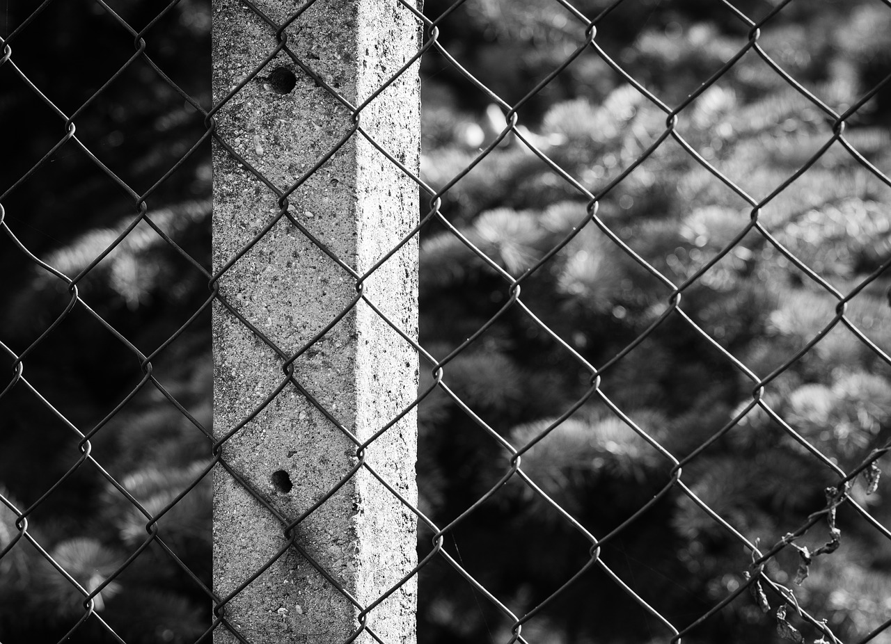 fence column wire free photo