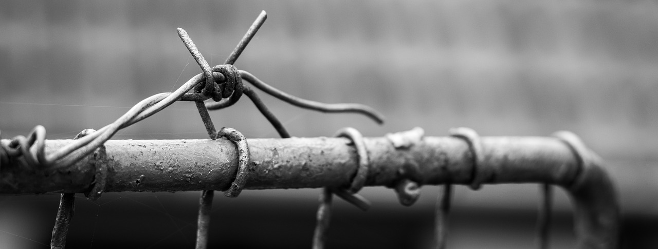 barbed wire wire fencing free photo