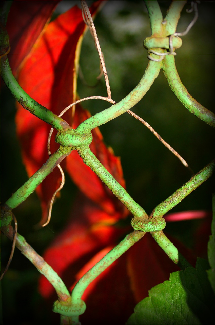 fence old red free photo