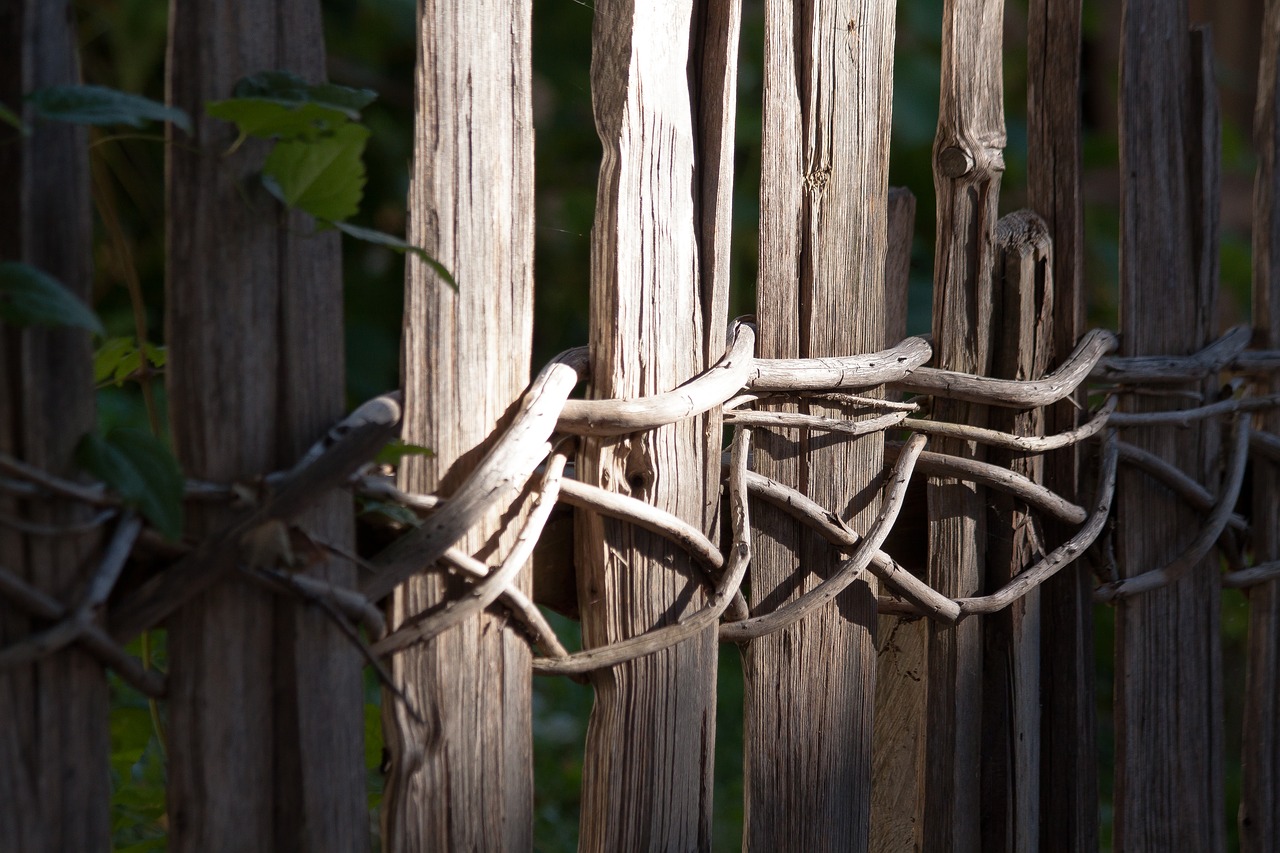 fence wood wattle free photo