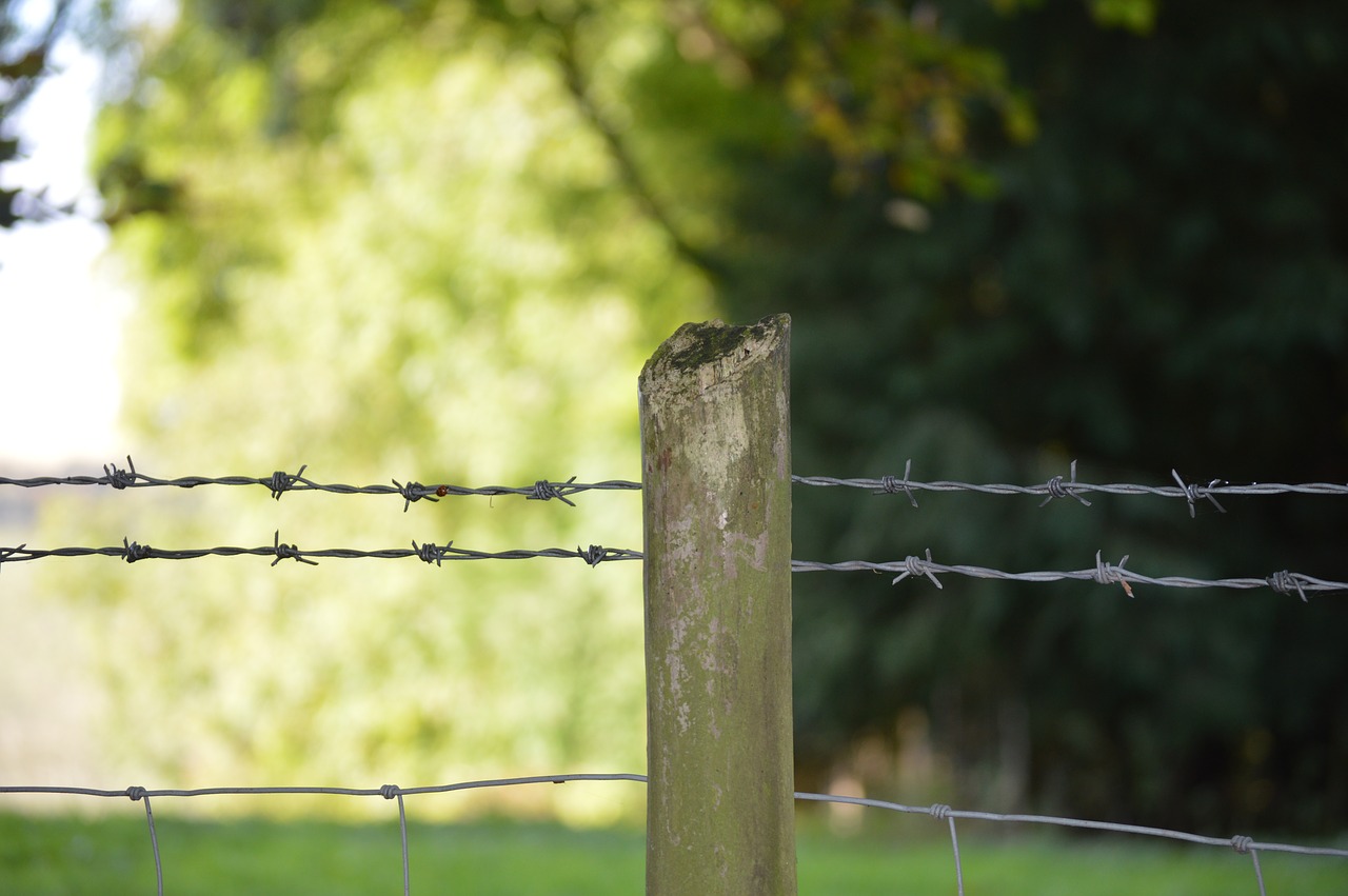 fence barbed wire green free photo