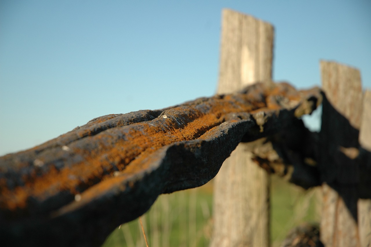 fence rust iron free photo