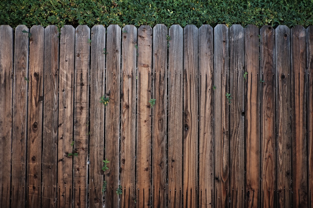 fence wood wooden free photo