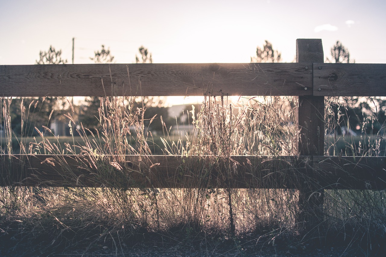 fence grass outdoors free photo