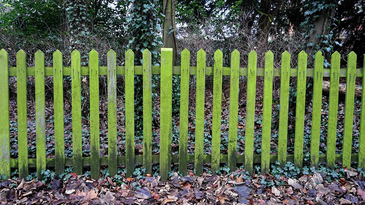 fence leaves green free photo