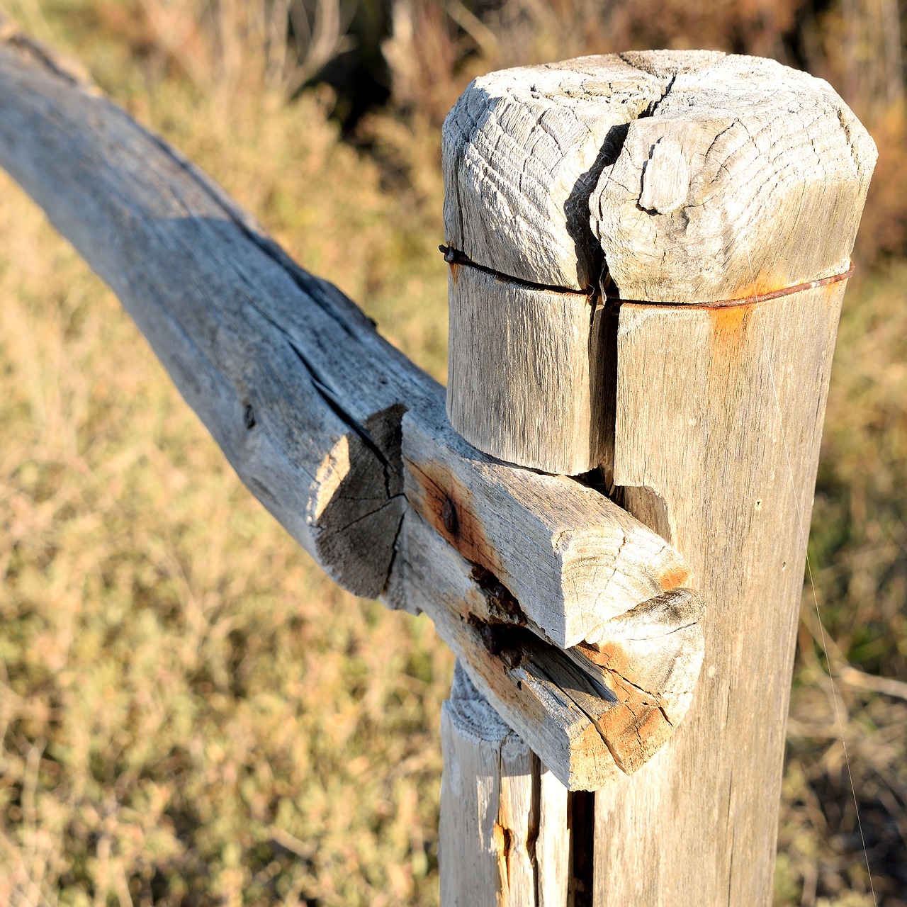 fence wood woodwind free photo