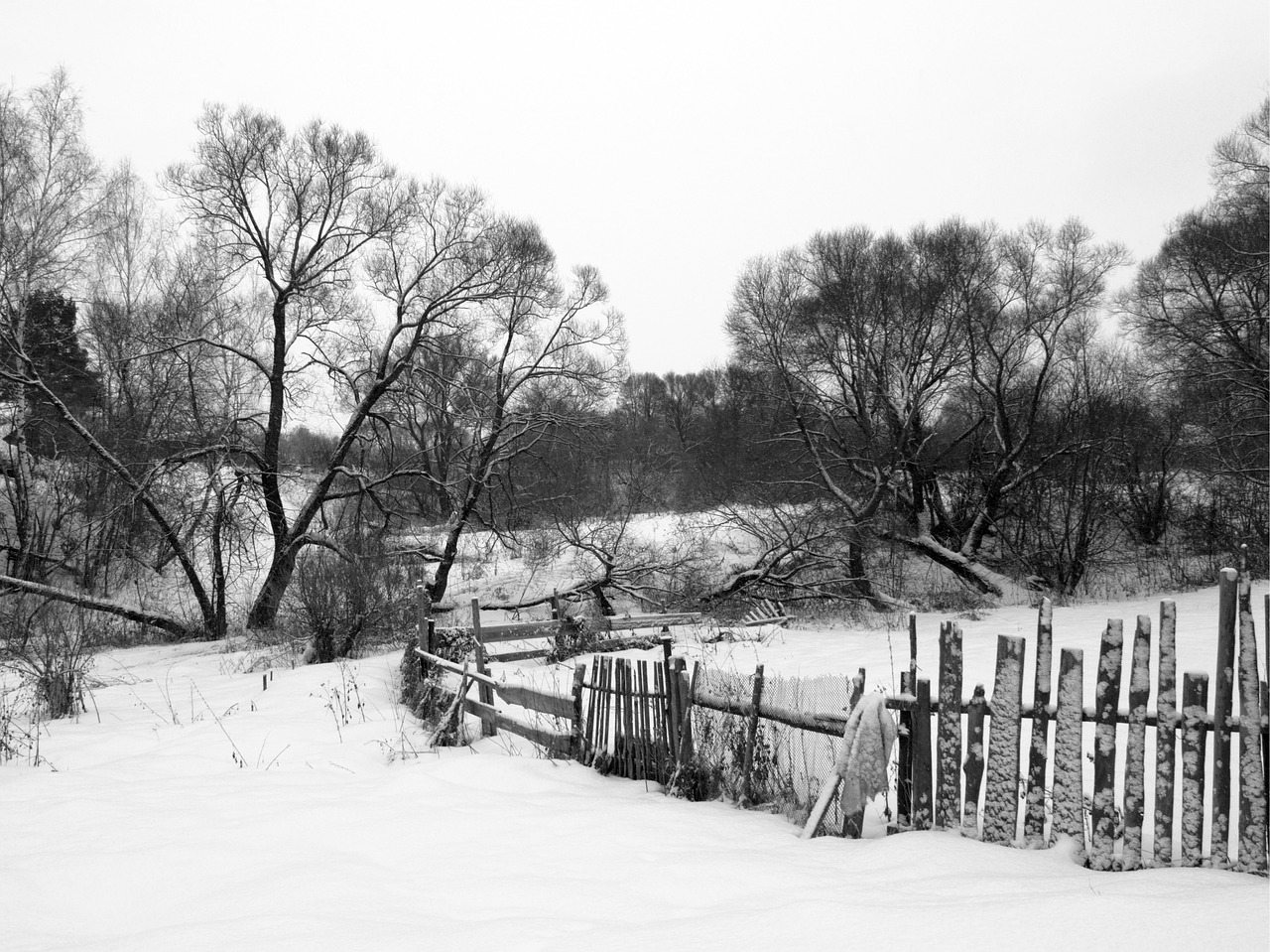 fence yard village free photo