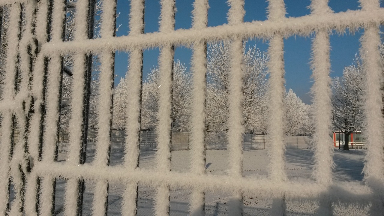 fence frost ice free photo