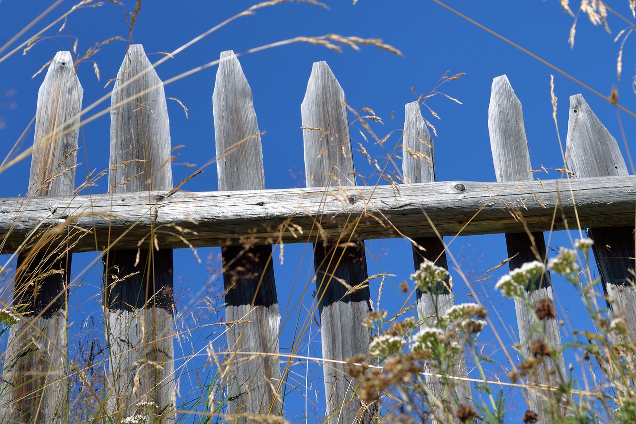 fence old summer free photo