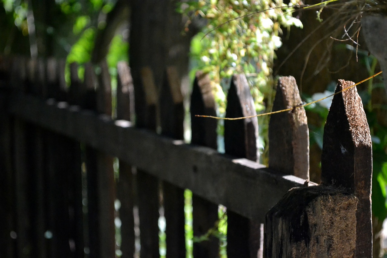 fence leading line morning time free photo