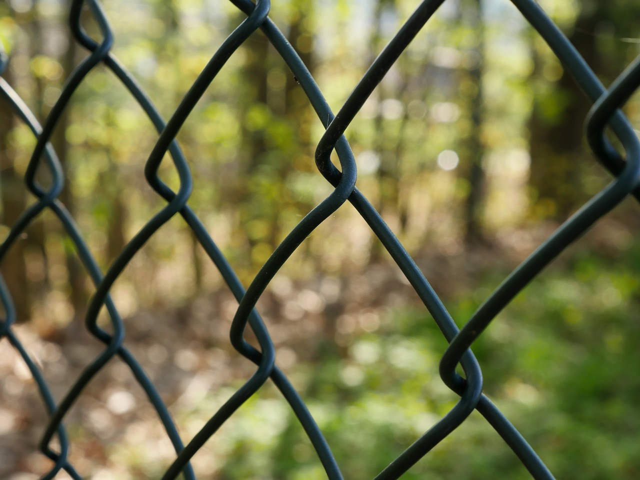 fence wire mesh border free photo