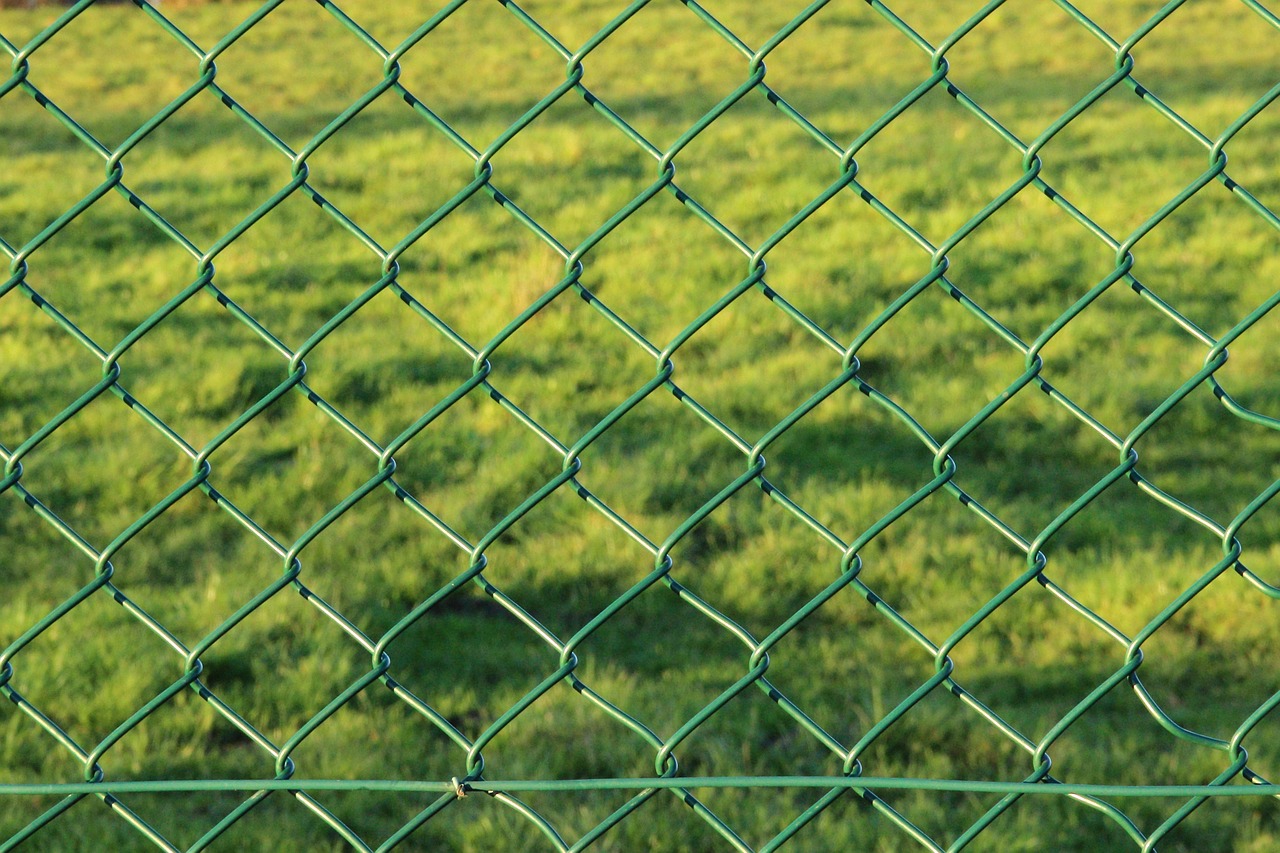 fence wire mesh fence green free photo