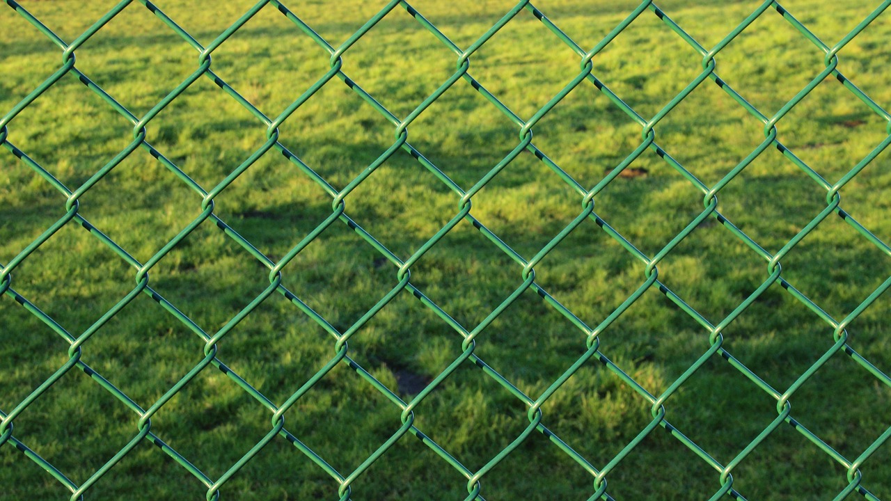 fence wire mesh fence green free photo