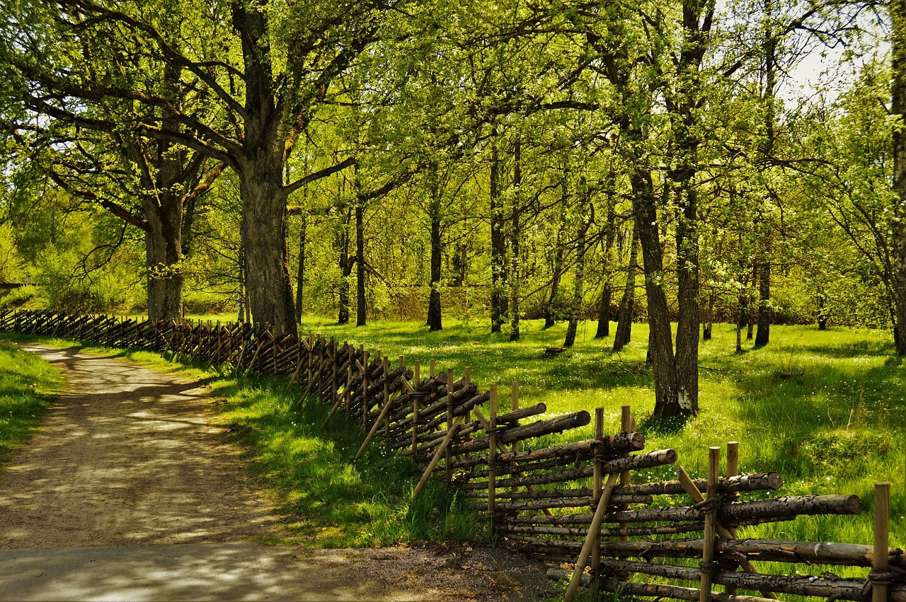 fence summer sweden free photo