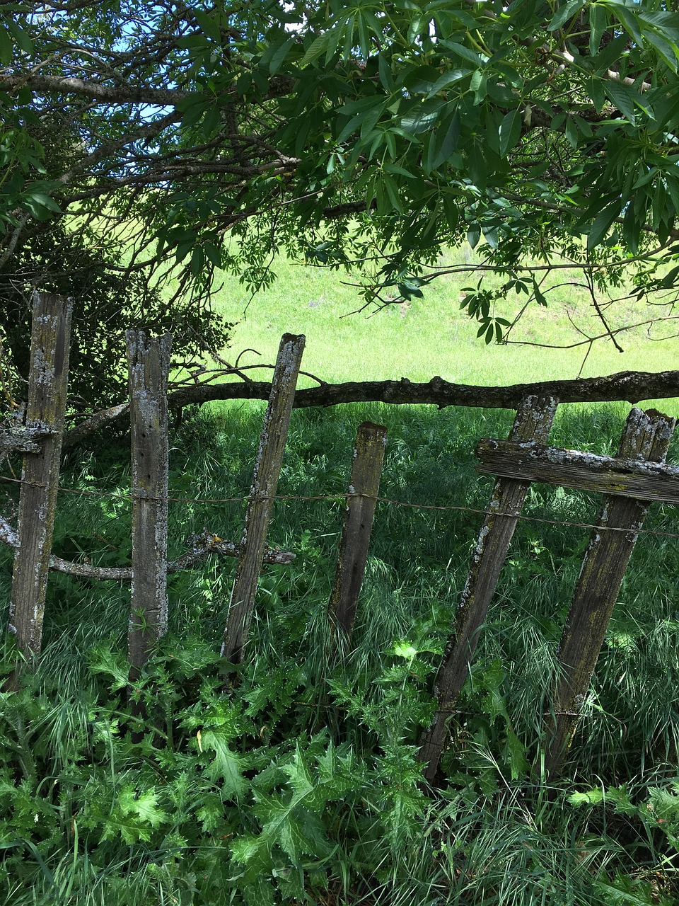 fence park farm free photo