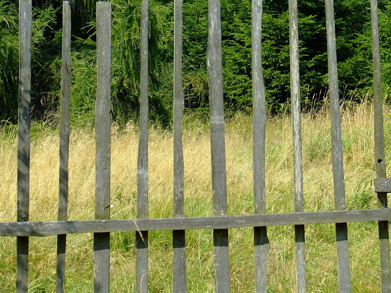 fence planks view free photo