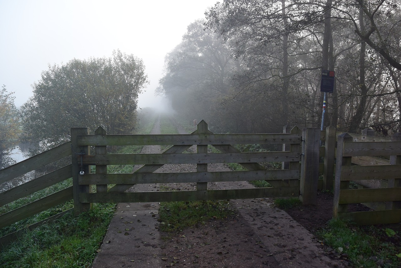 fence fog polder free photo