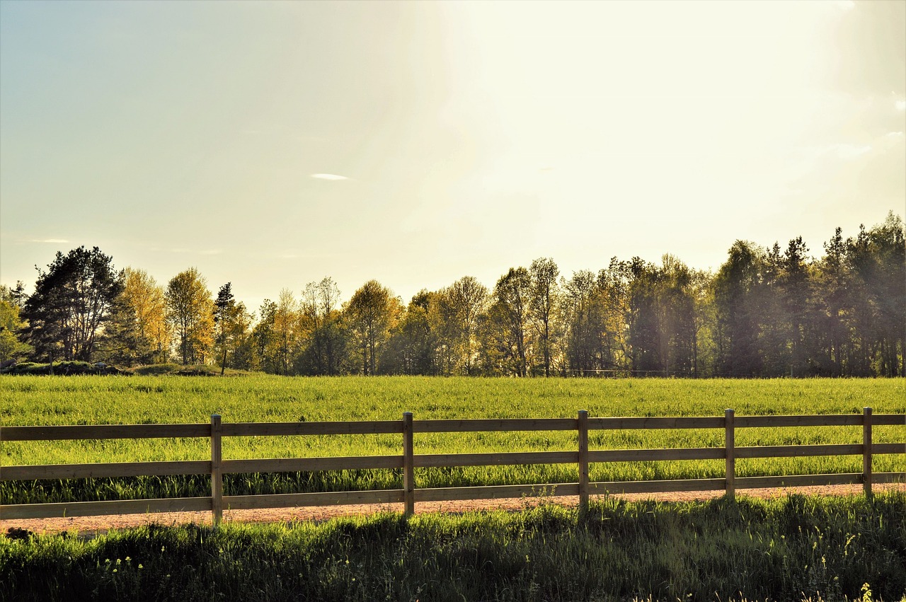 fence go bed free photo