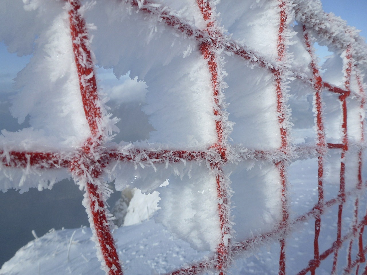 fence grid frost free photo