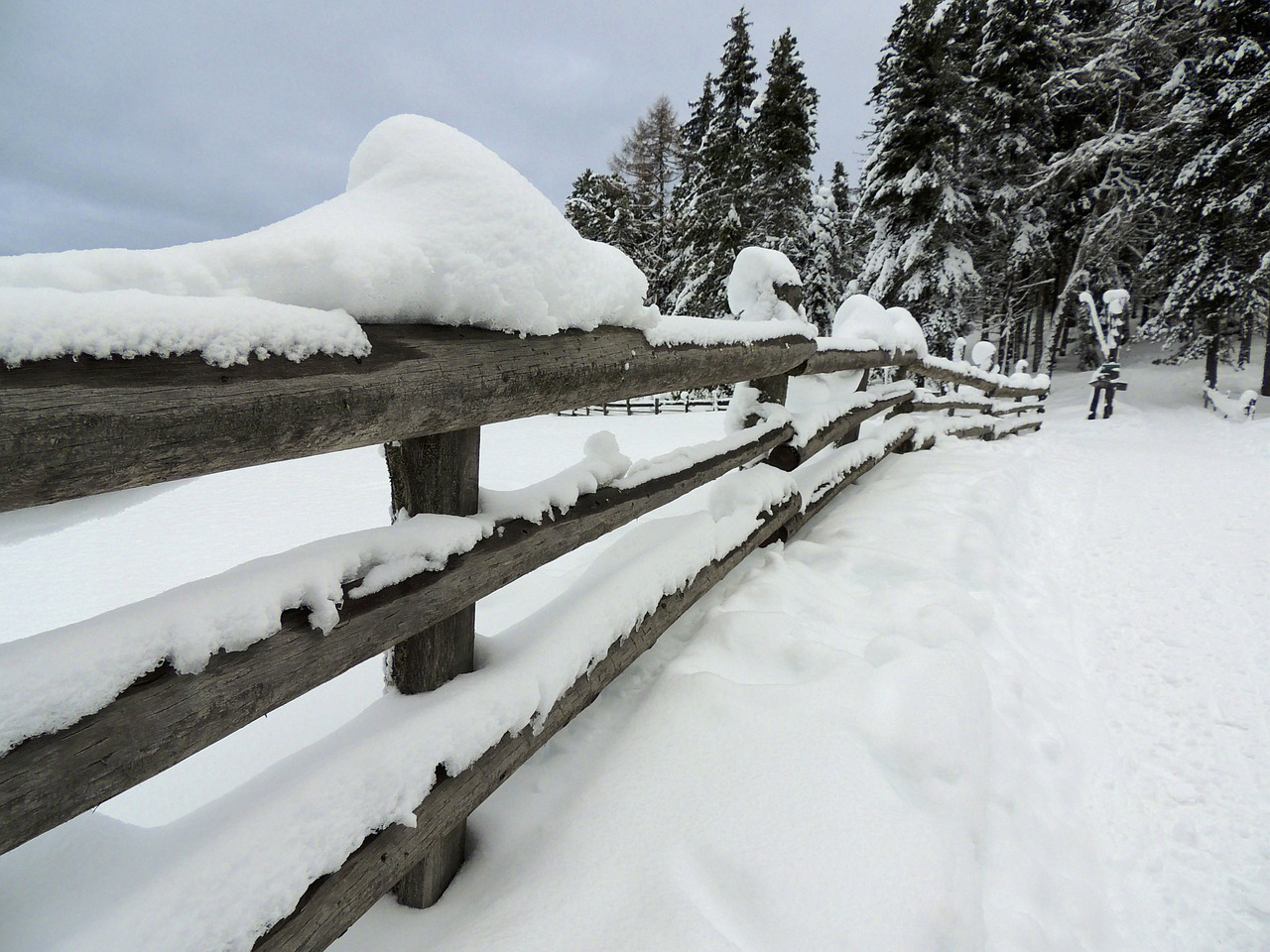 fence snow winter free photo