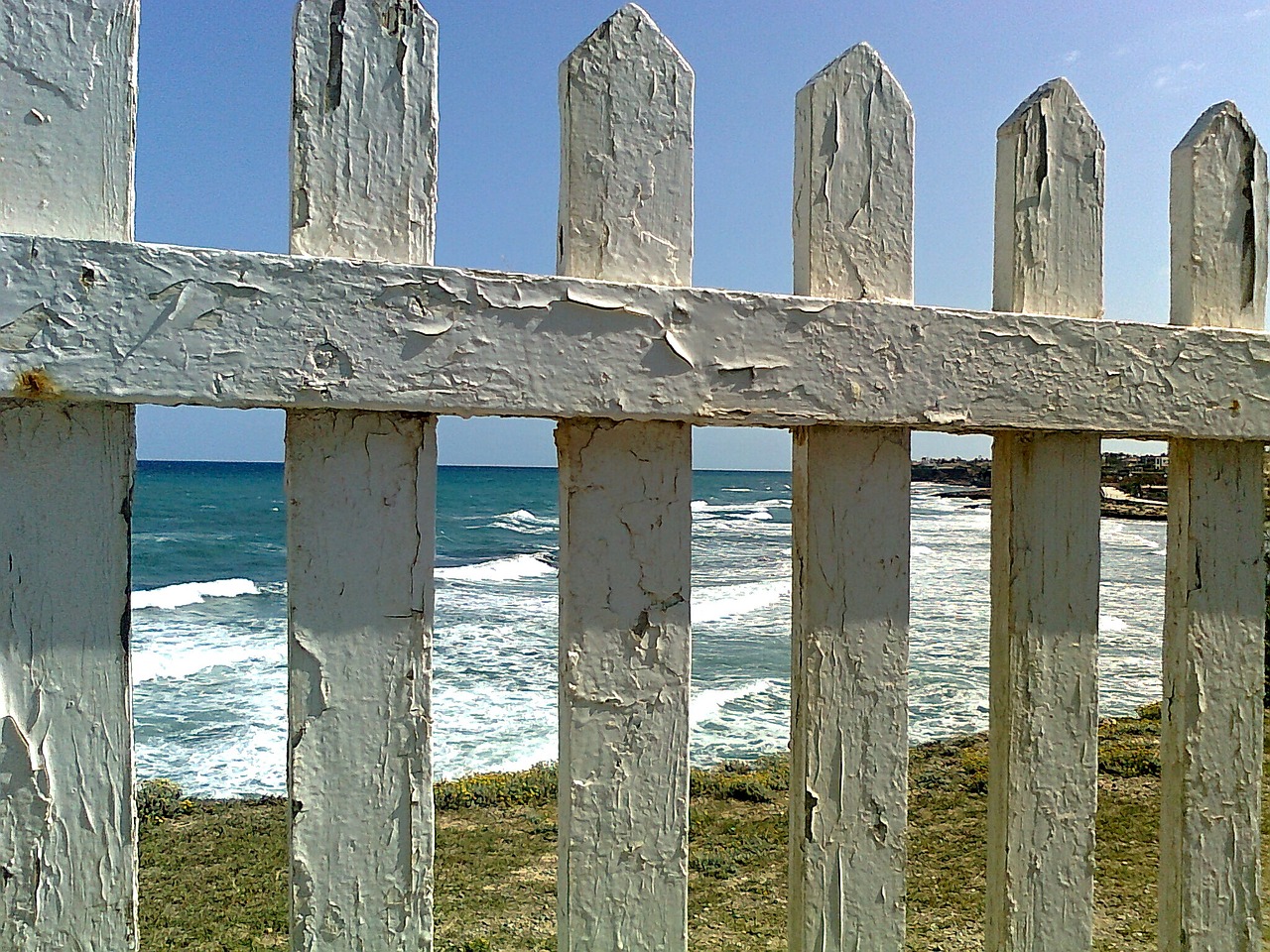 fence sea beach free photo