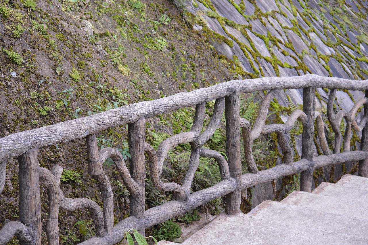 fence wood moss free photo