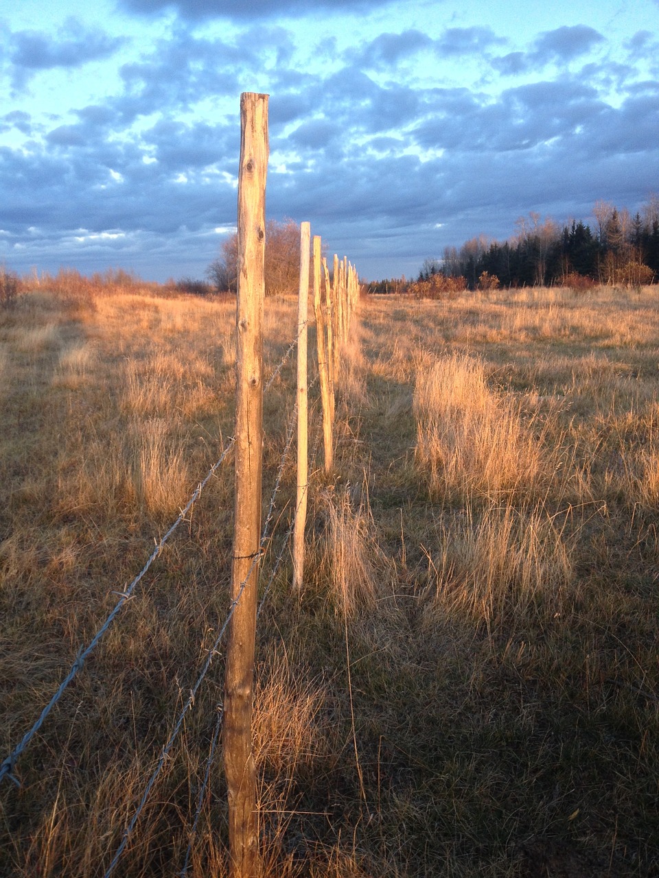 fence rural dusk free photo