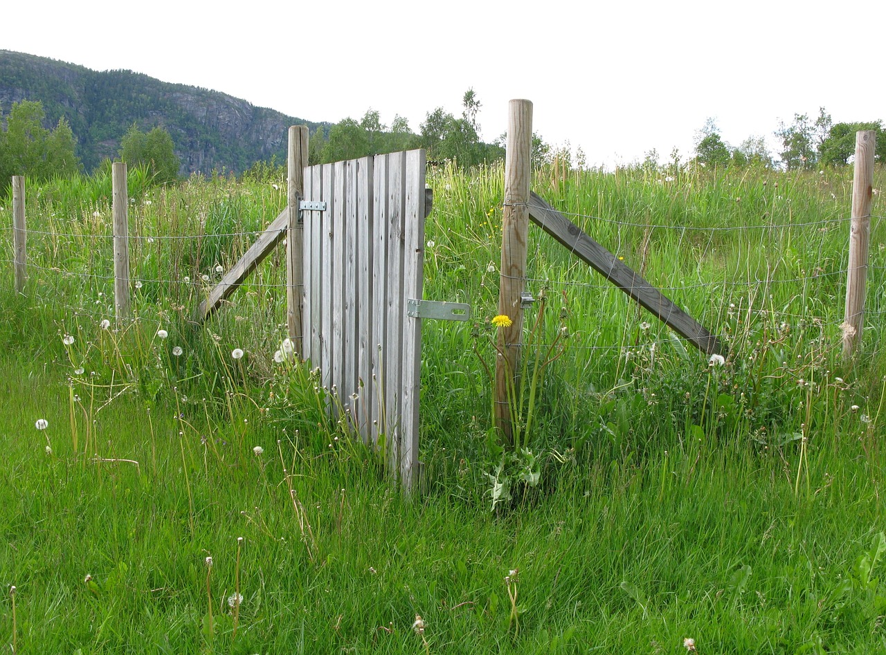 fence wood post free photo