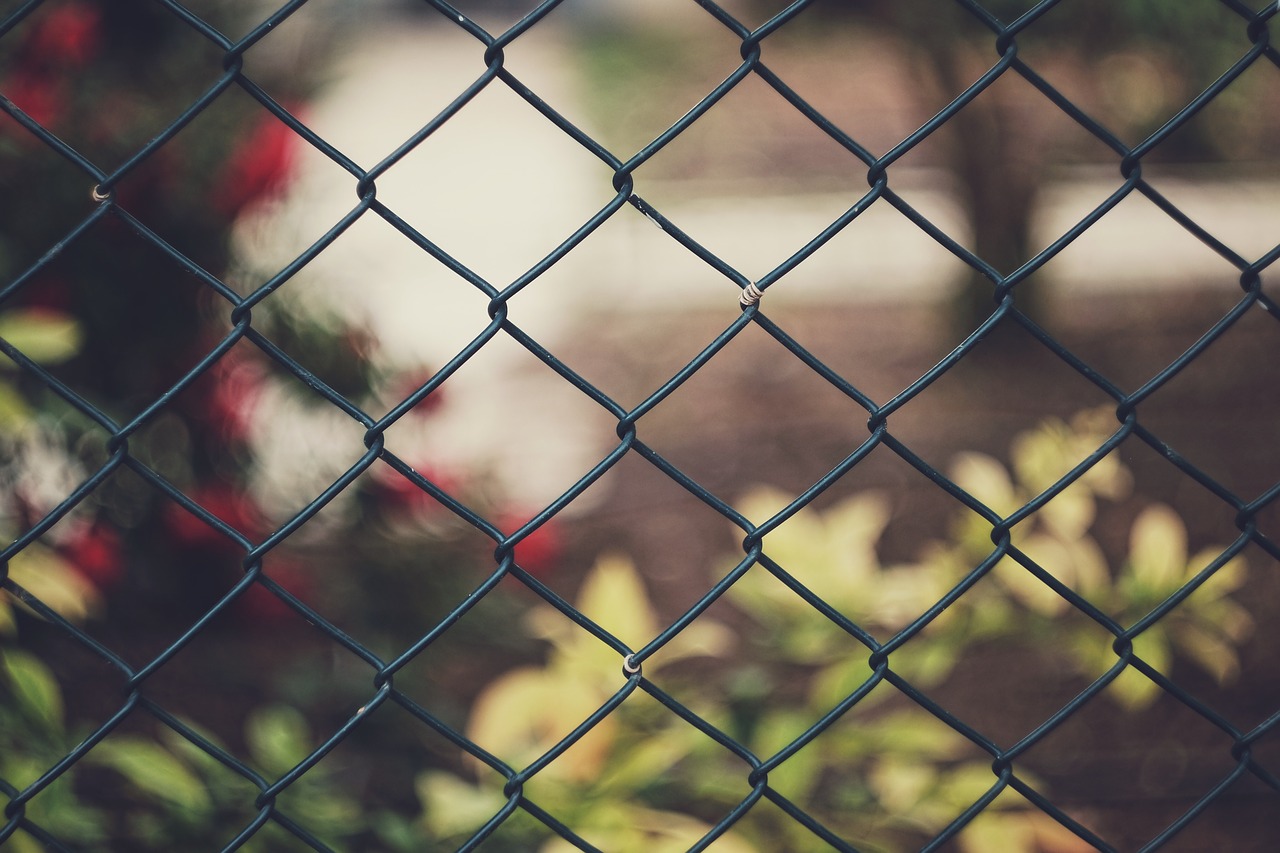 fence wire garden free photo