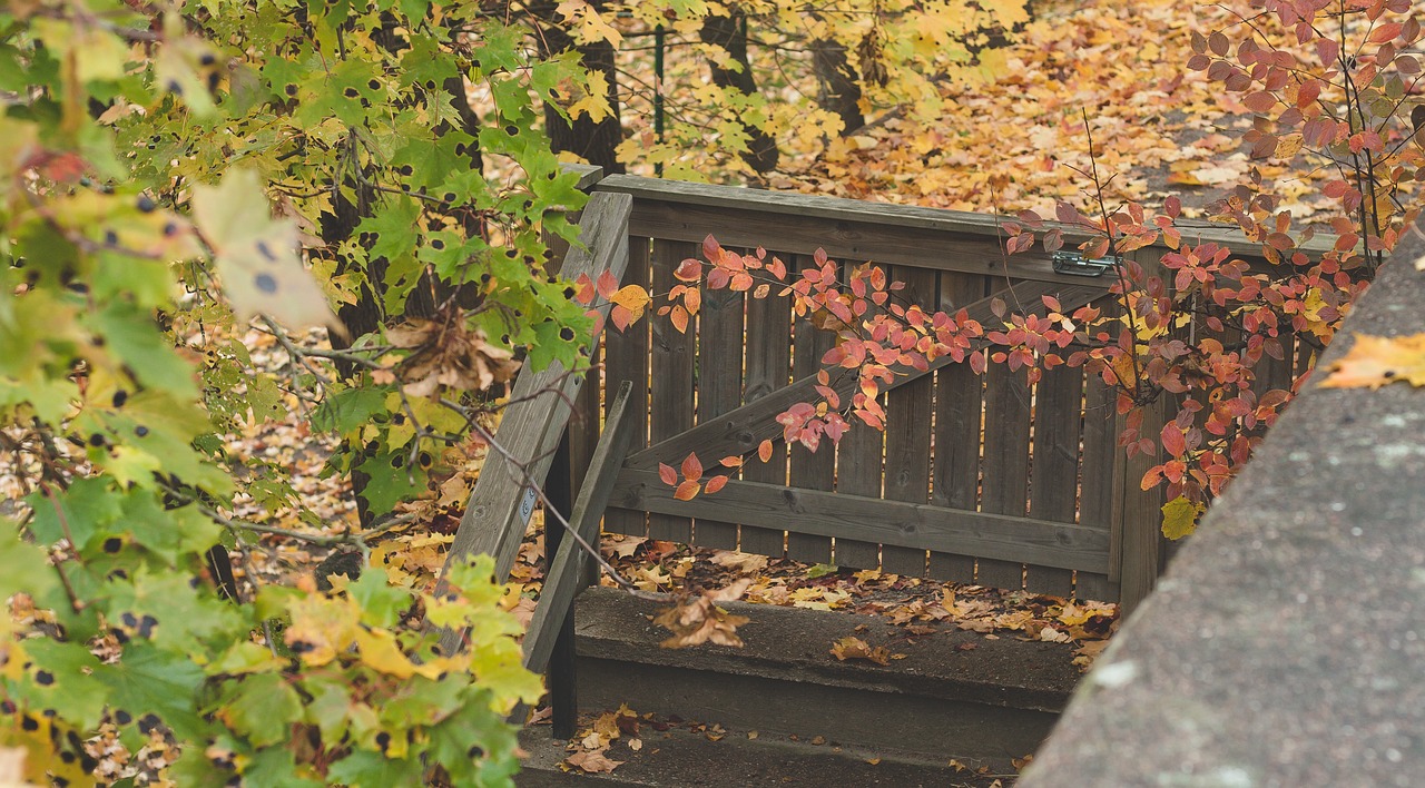 fence gate autumn free photo