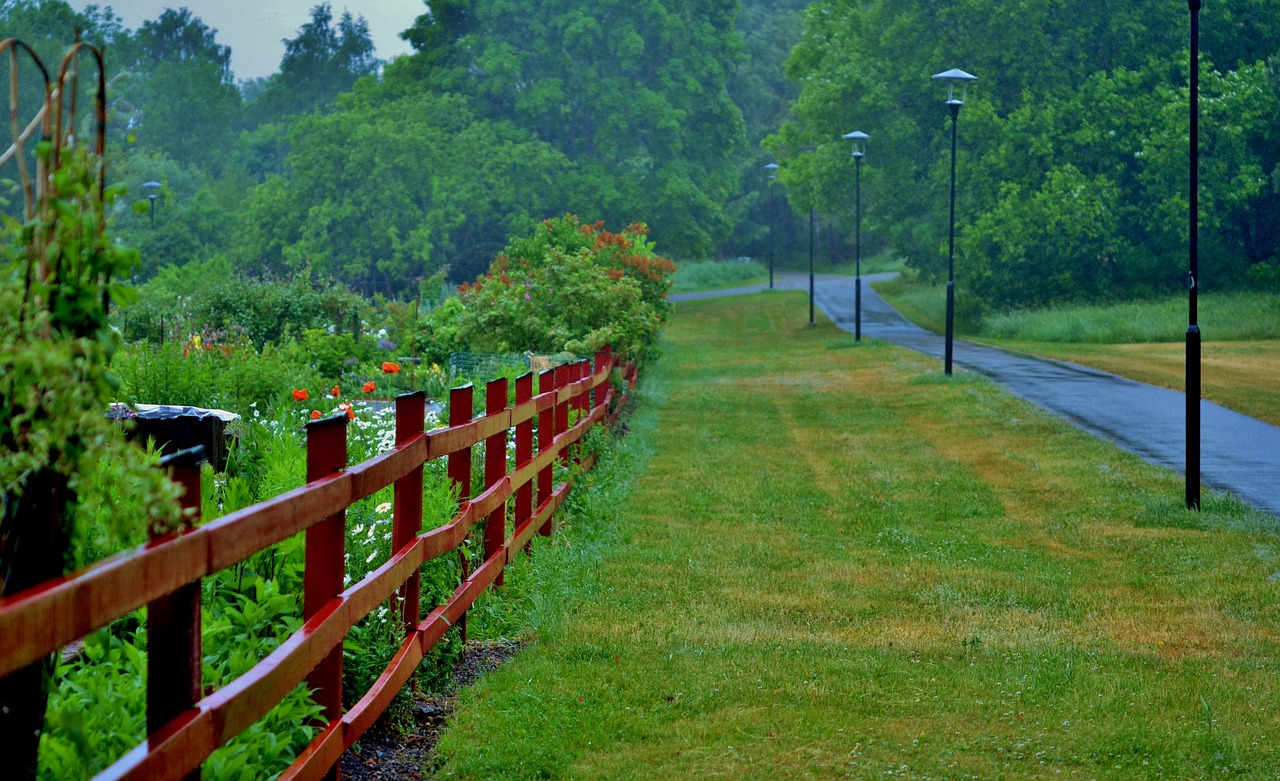 fence forest natur free photo