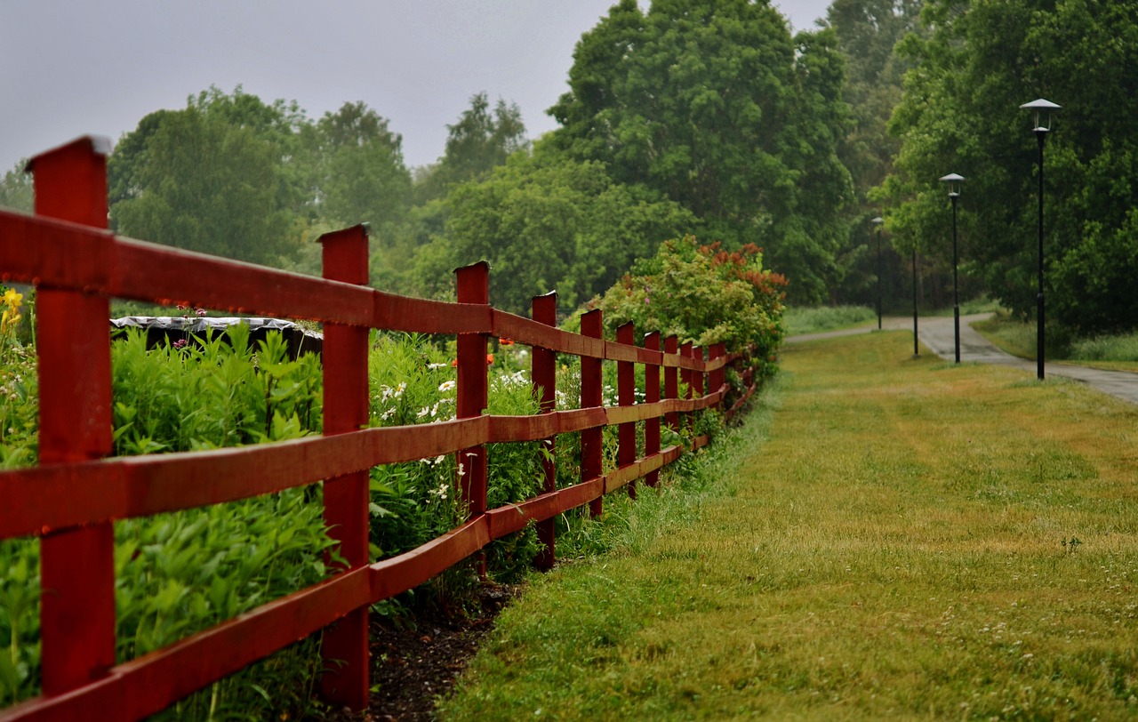 fence forest natur free photo