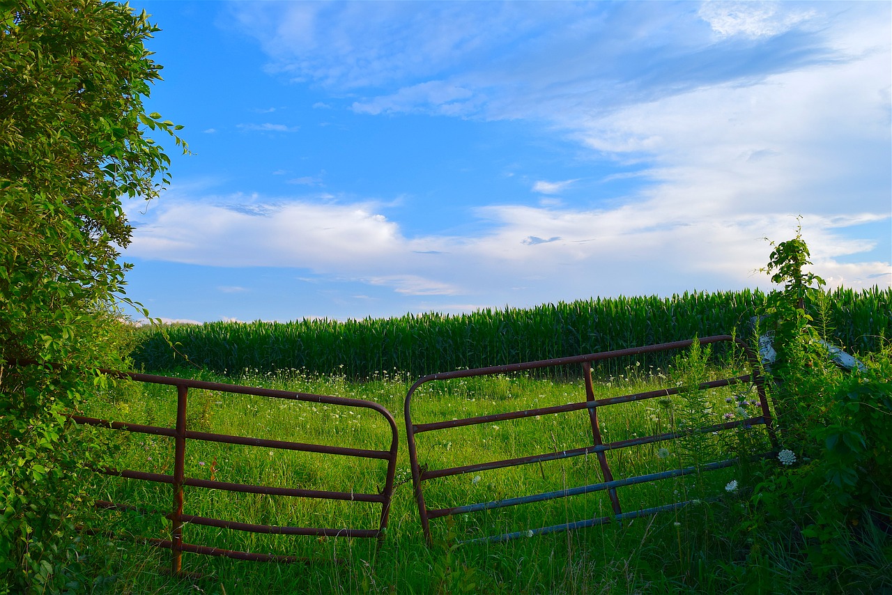 Download free photo of Fence,field,farm,sunset,landscape - from needpix.com