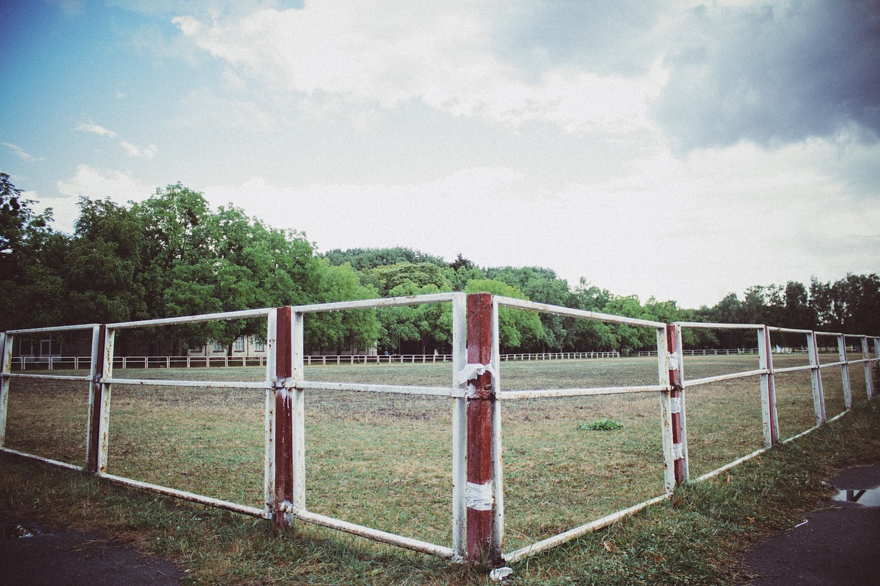 fence yard field free photo