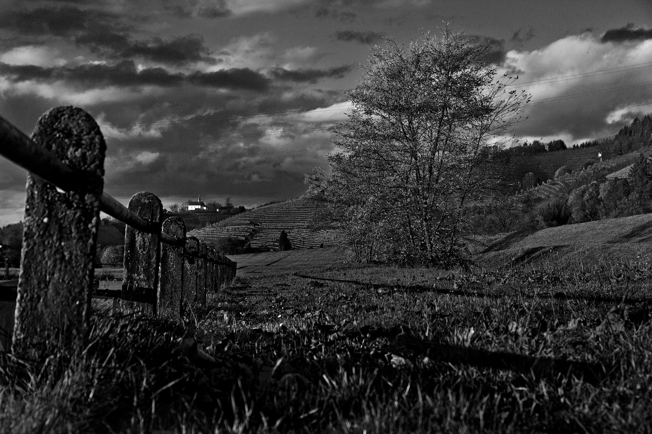 fence fields mood free photo