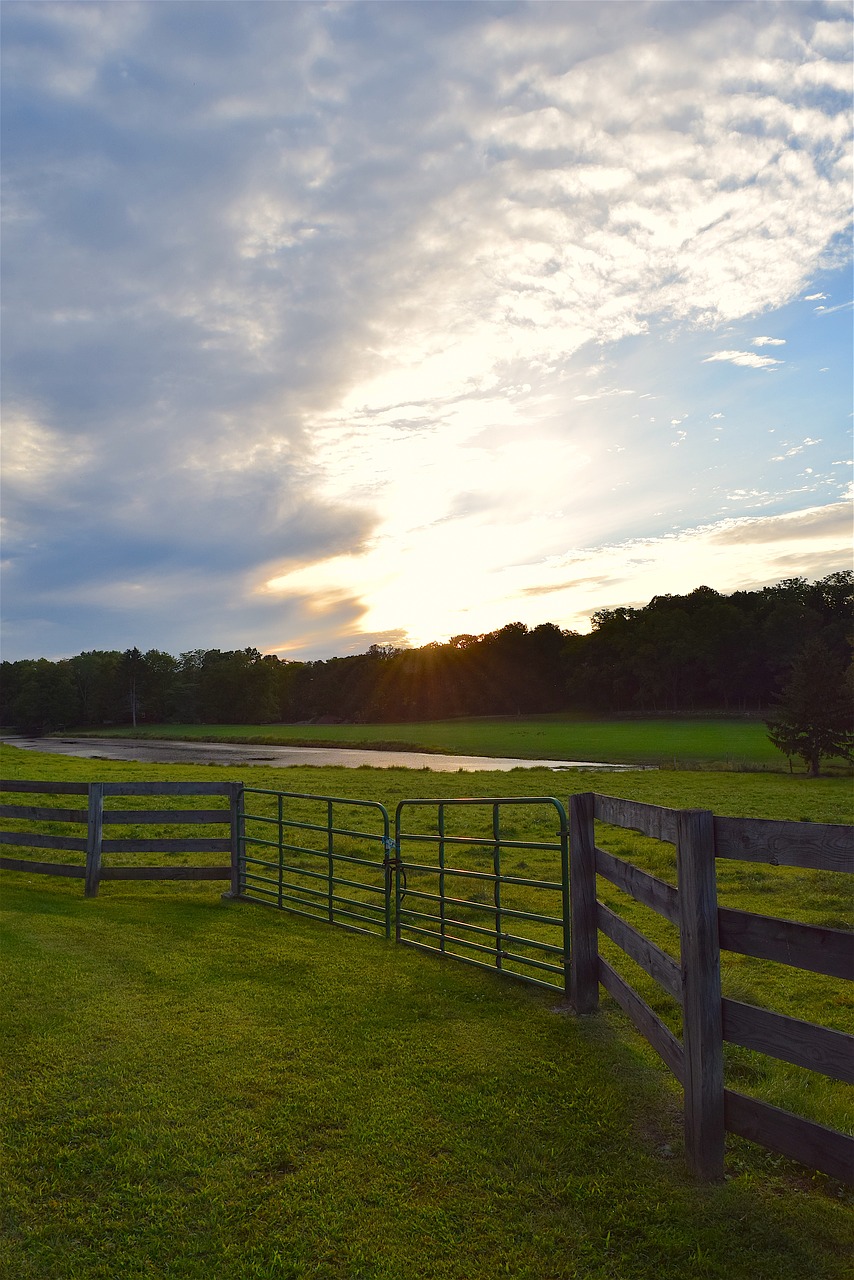 fence rural pasture free photo