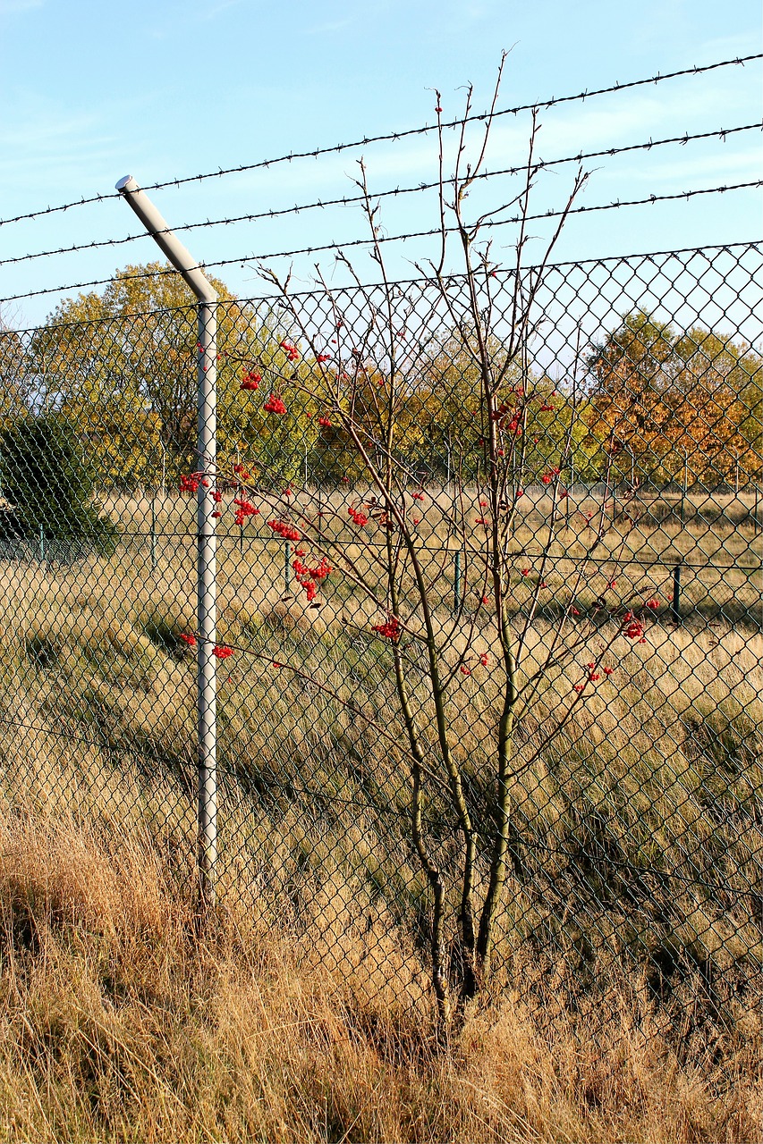 fence rocket base barbed wire free photo