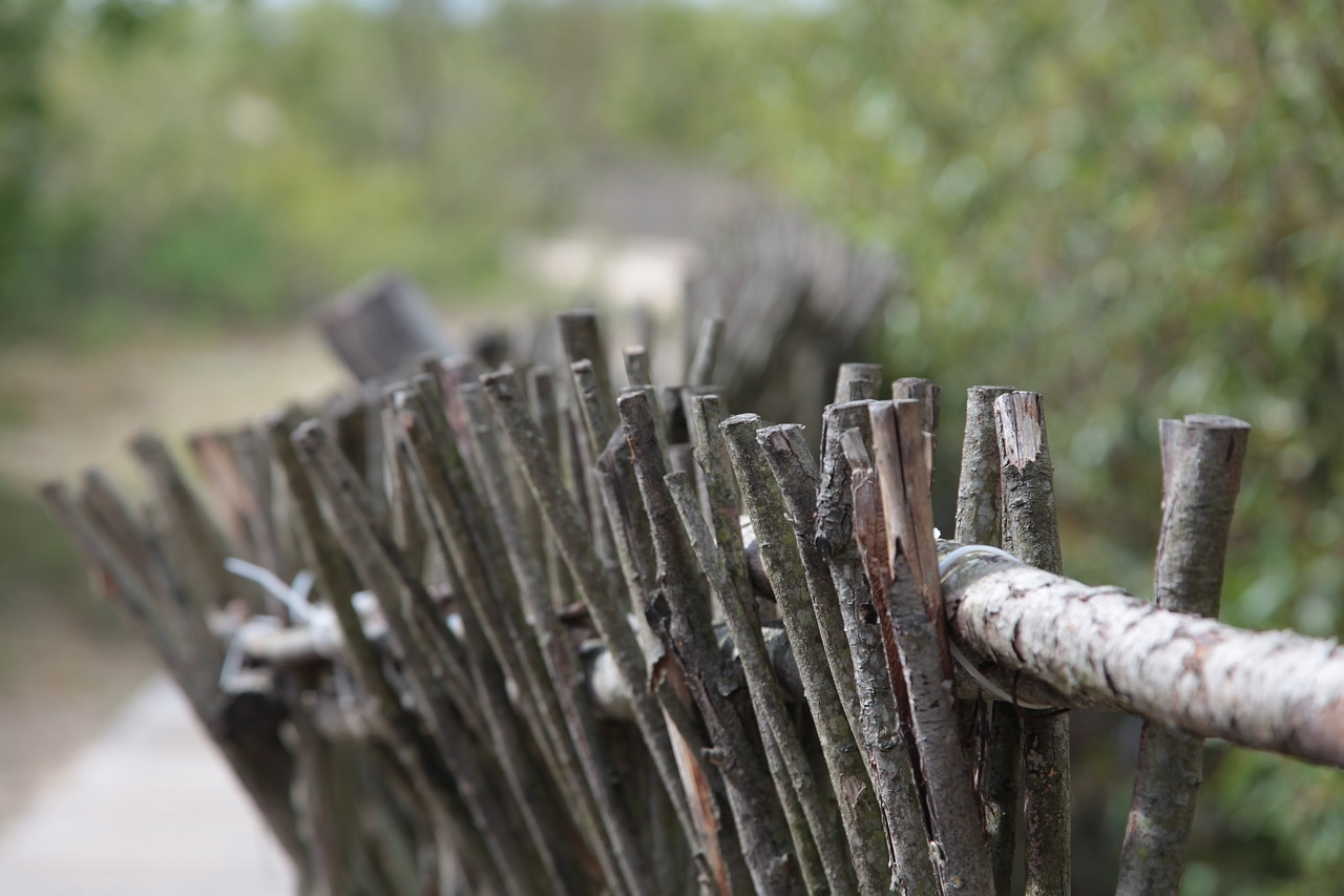 fence landscape the bushes free photo