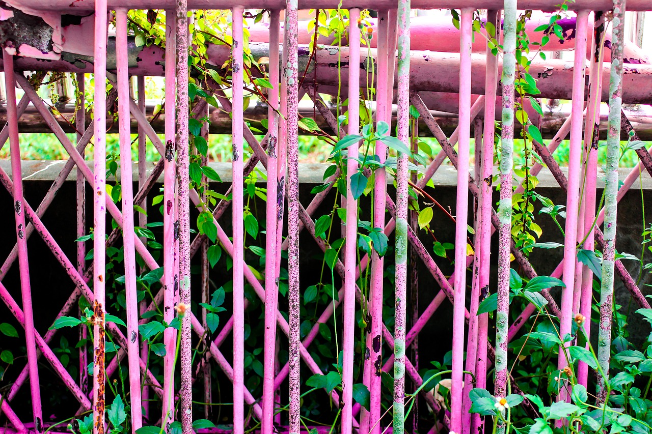 fence plant leaves free photo