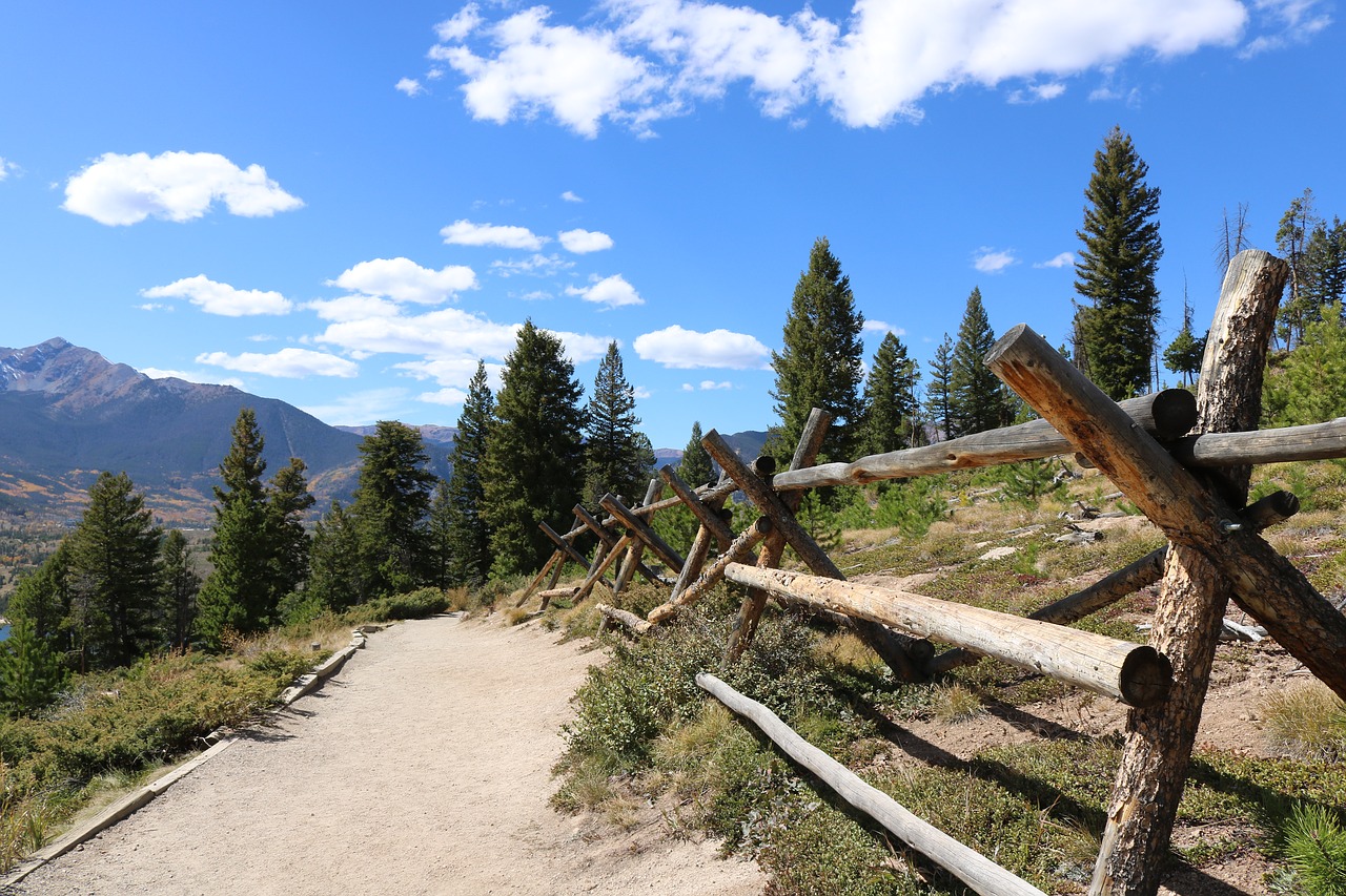 fence logs trail free photo