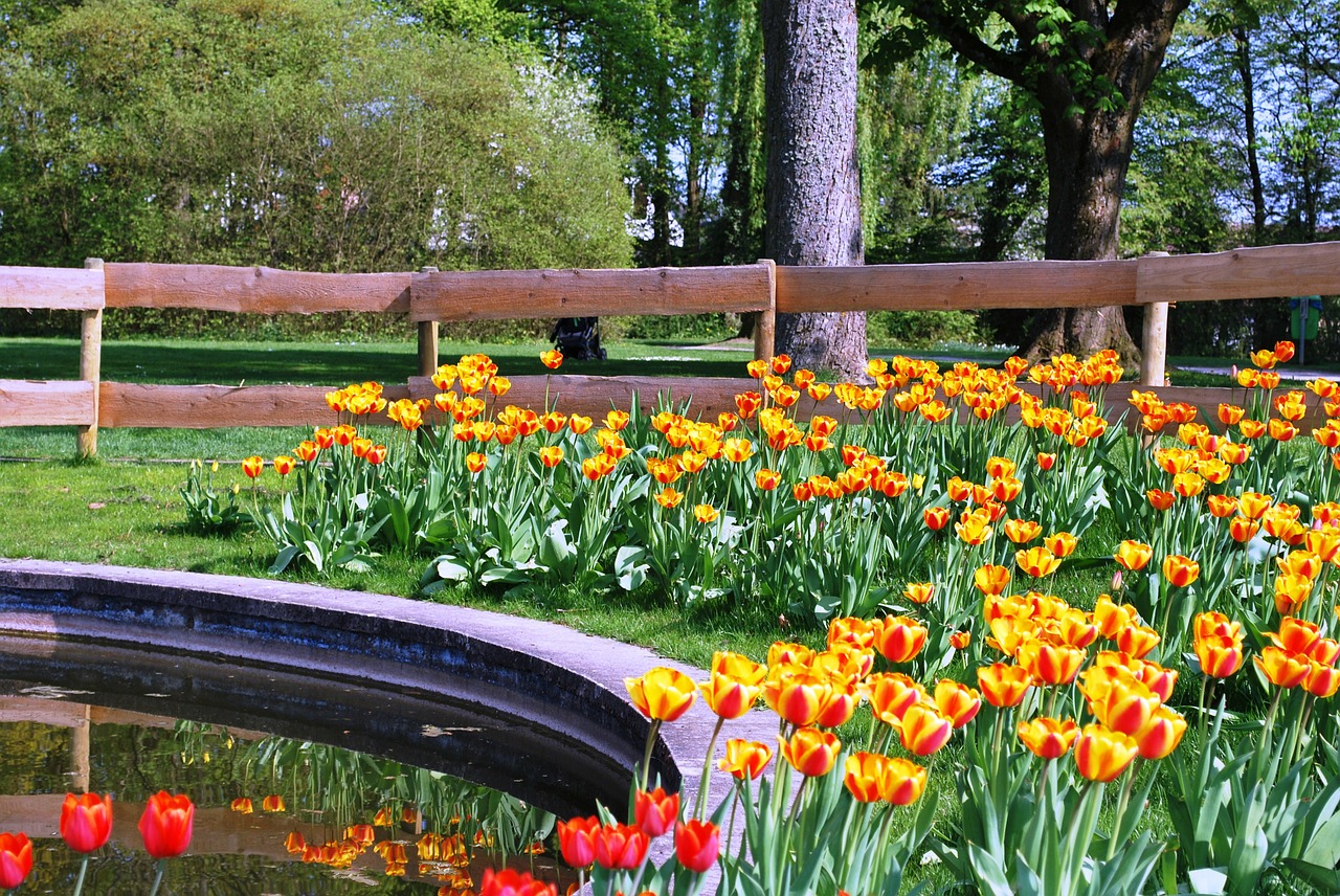 fence pond flowers free photo