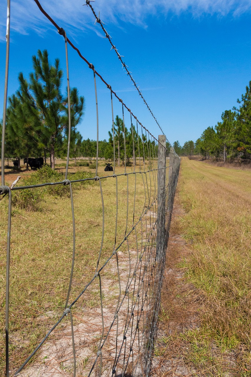 fence country farm free photo