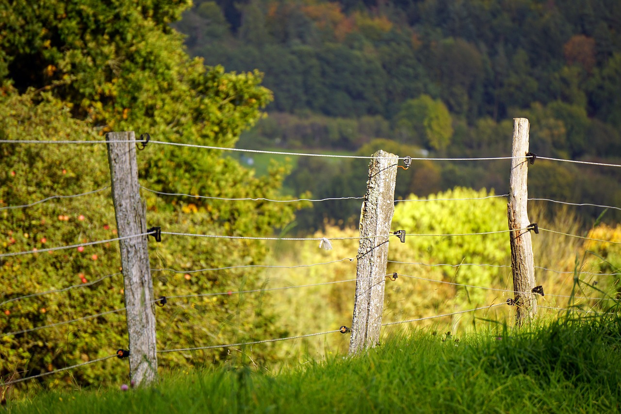 fence pasture fence post free photo