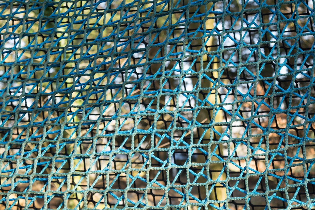 fence string grid free photo