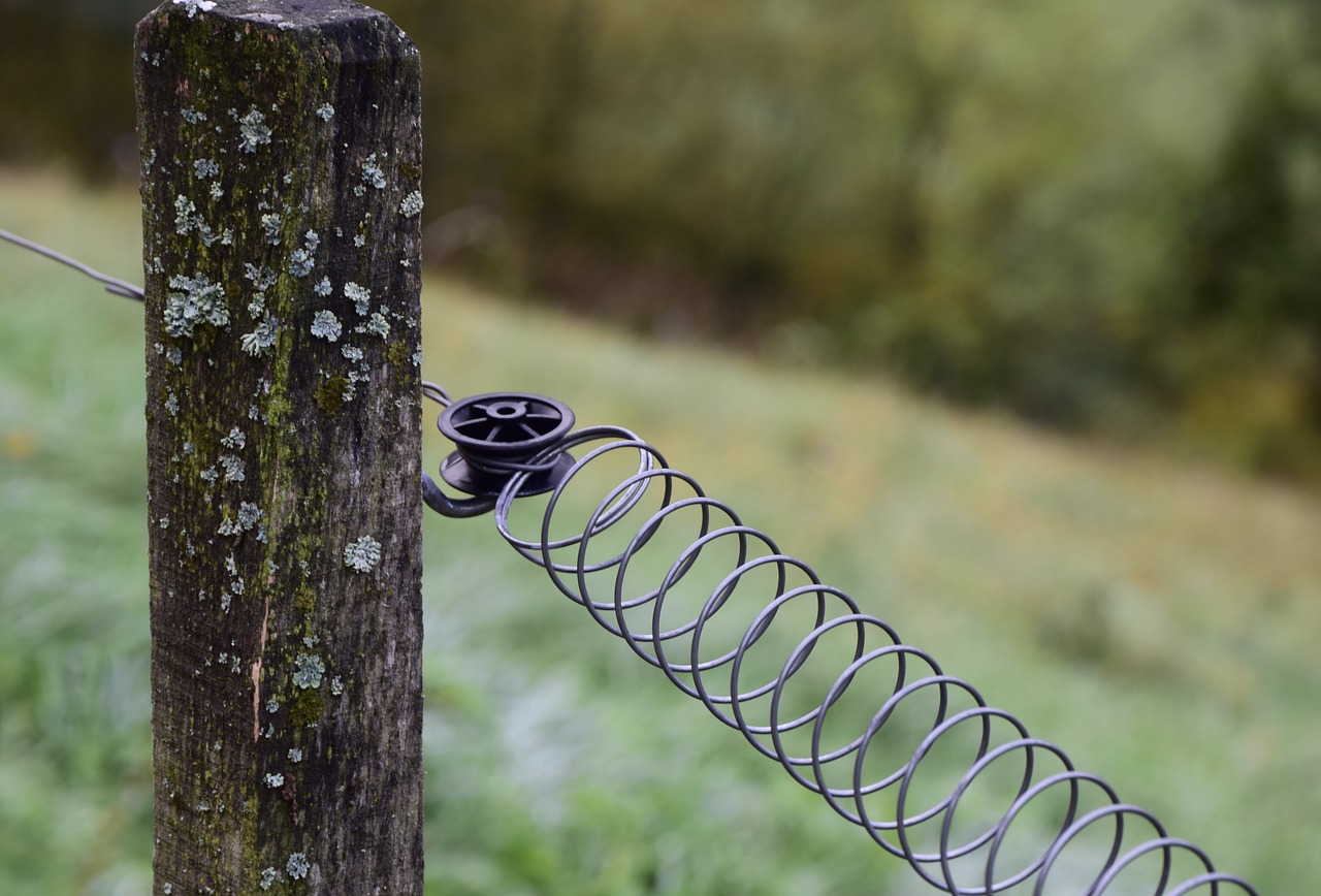 fence wire metal free photo