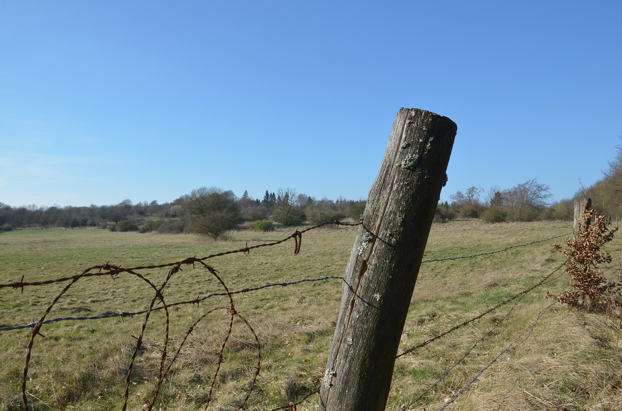 fence pasture stainless free photo