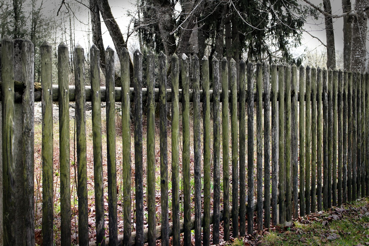fence wood fence battens free photo